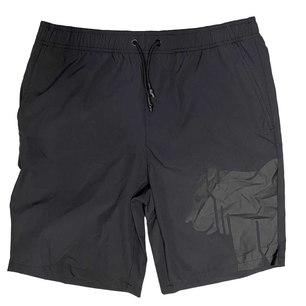 Ciesse Piumini pantaloncino sportivo da uomo Jaxon 215CAMP60095NA10X 201 grigio