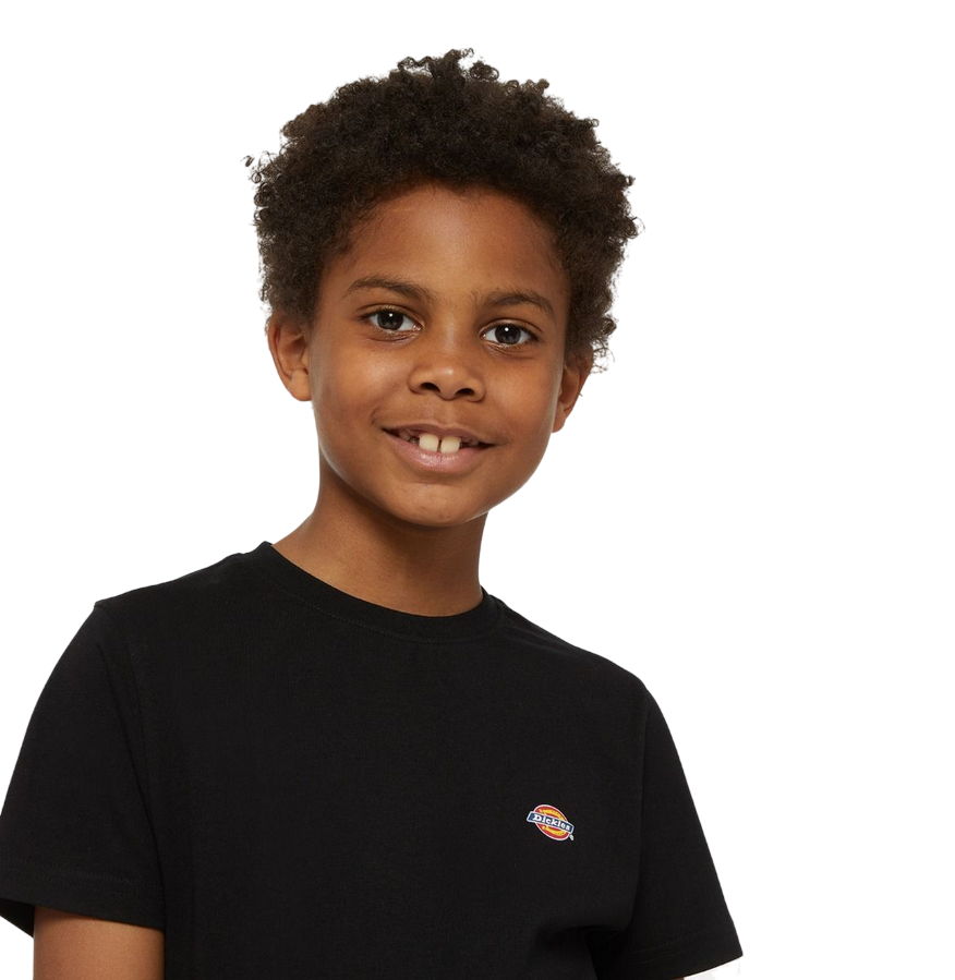 Dickies boys short sleeve t-shirt Mapleton DK0KSR64KBK black