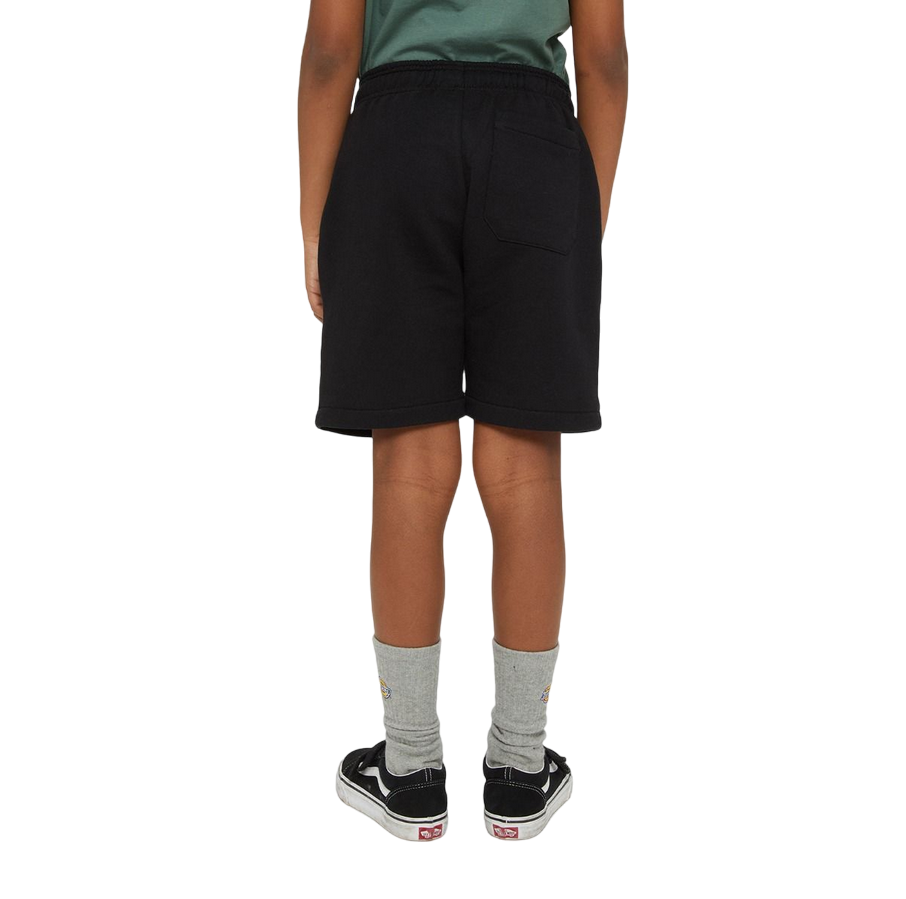 Dickies boys' sports shorts Mapleton DK0KRR33KBK1 black