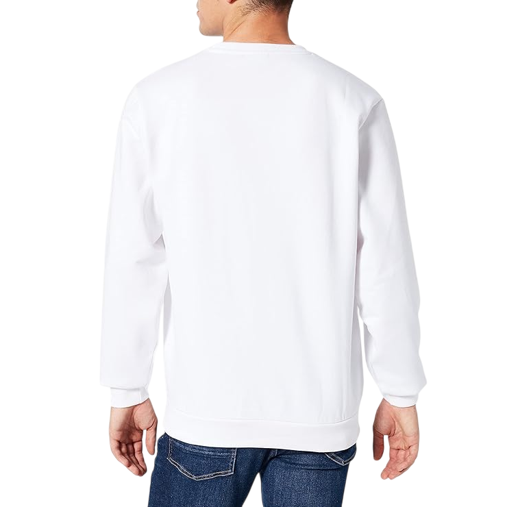 Fila men's crewneck sweatshirt Dedi Graphic Crew 689033 M67 white