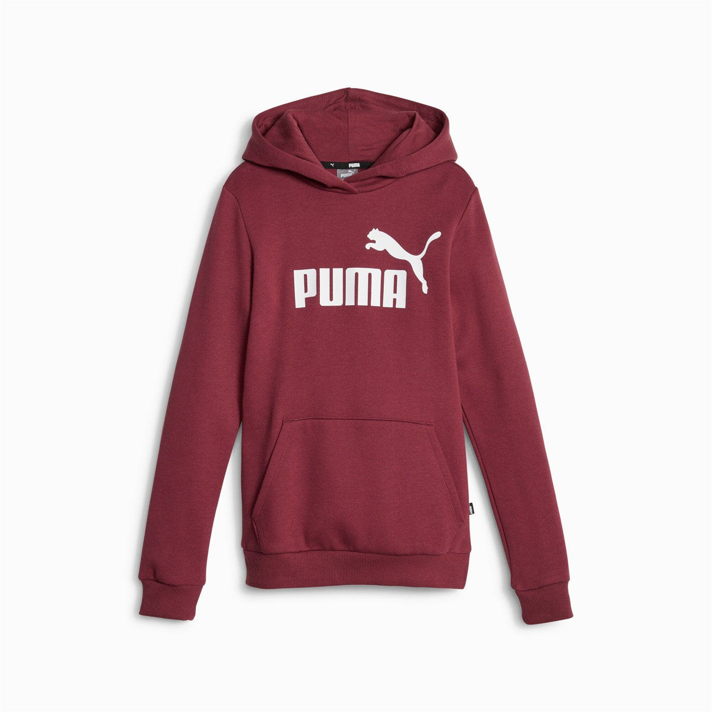 Puma felpa da ragazza con cappuccio e stampa logo grande Ess 587031-22 diaspro scuro