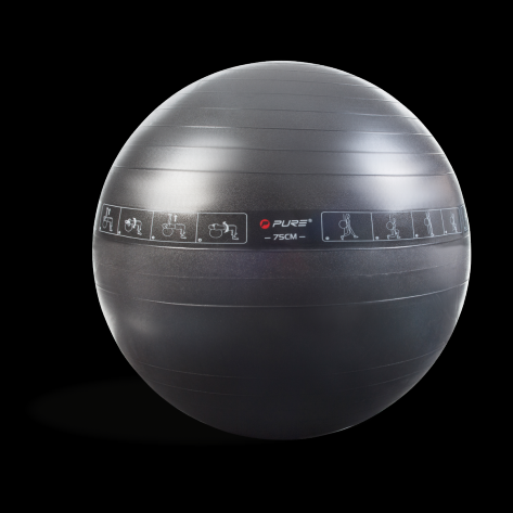 Pure 2Improve Gym Ball 75cm P2I200080 265866 black