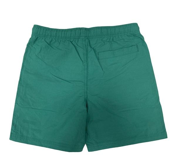 Santa Cruz costume da bago da uomo Swimshort Classic Dot verde