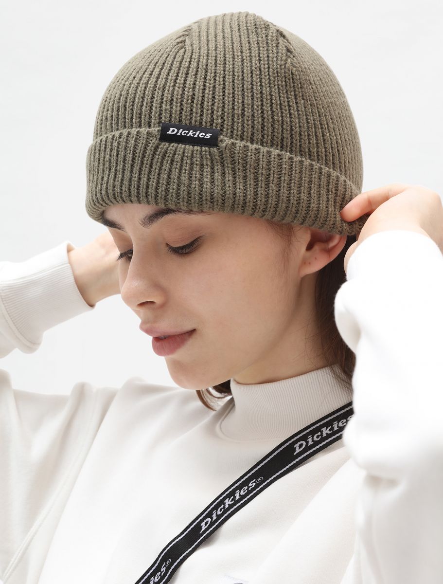 Dickies Woodworth DK0A4X7YMGR military green unisex cap
