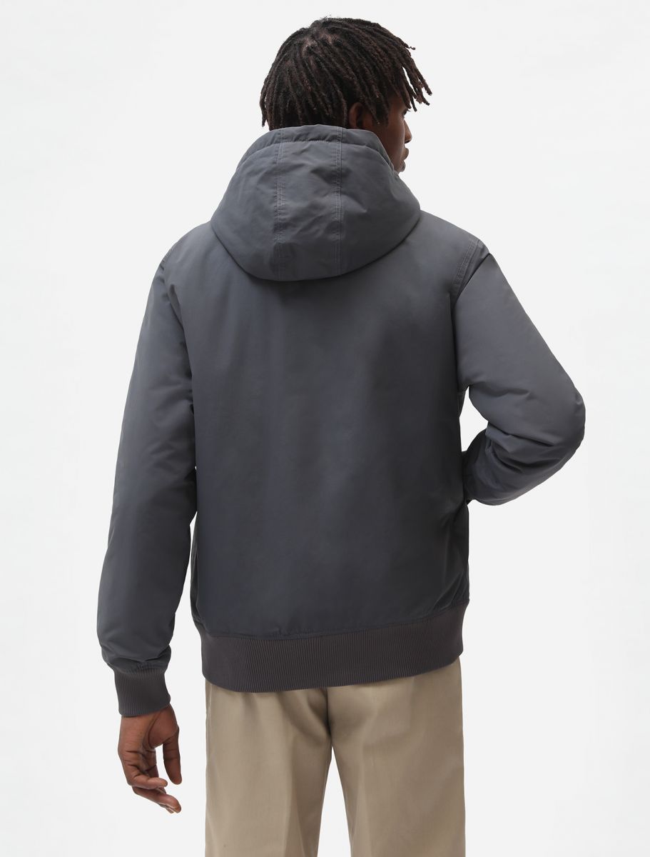 Dickies New Sarpy men's waterproof jacket DK0A4XG8CH charcoal grey