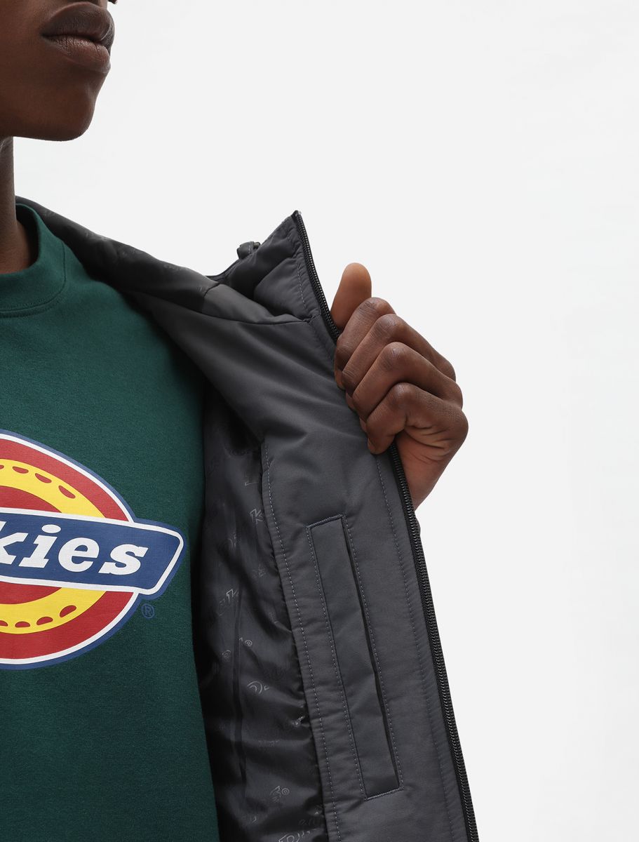 Dickies New Sarpy men's waterproof jacket DK0A4XG8CH charcoal grey