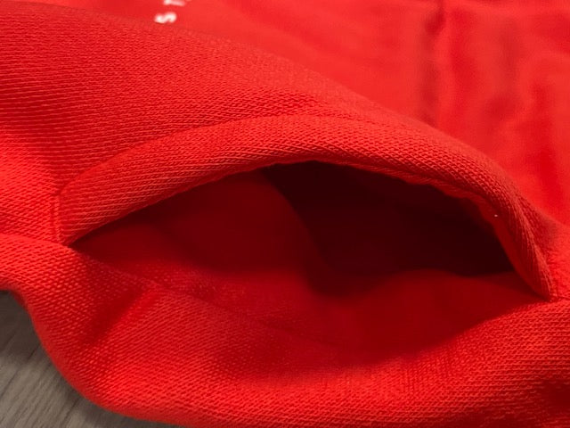 Puma children's sweatshirt with large logo print hood 846887 11 red