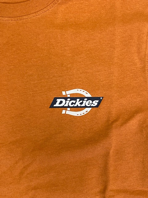 Dickies Men's short sleeve t-shirt Ruston Tee DK0A4XDC C38 yellow ocher