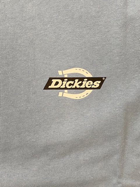 Dickies Men's short sleeve t-shirt Ruston DK0A4DC C36 light blue