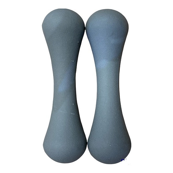 Avento pair of Dumbbells 2x2Kg 42DA-BLUE