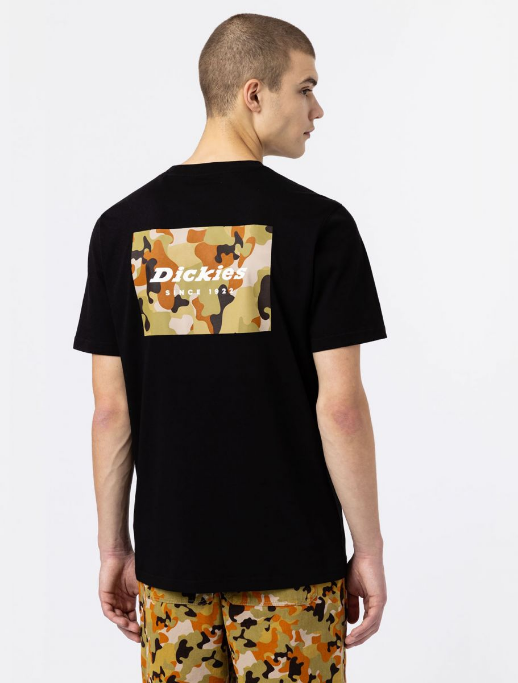 Dickies maglietta maniche corte da uomo Artondale Box DK0A4XNYBLK nero