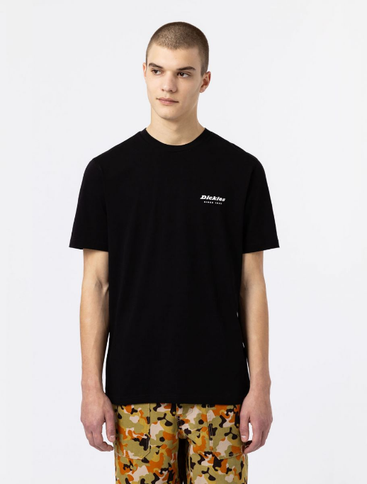 Dickies maglietta maniche corte da uomo Artondale Box DK0A4XNYBLK nero