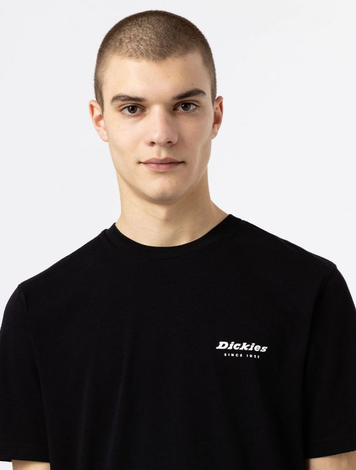 Dickies maglietta maniche corte da uomo Artondale Box DK0A4XNYBLK nero