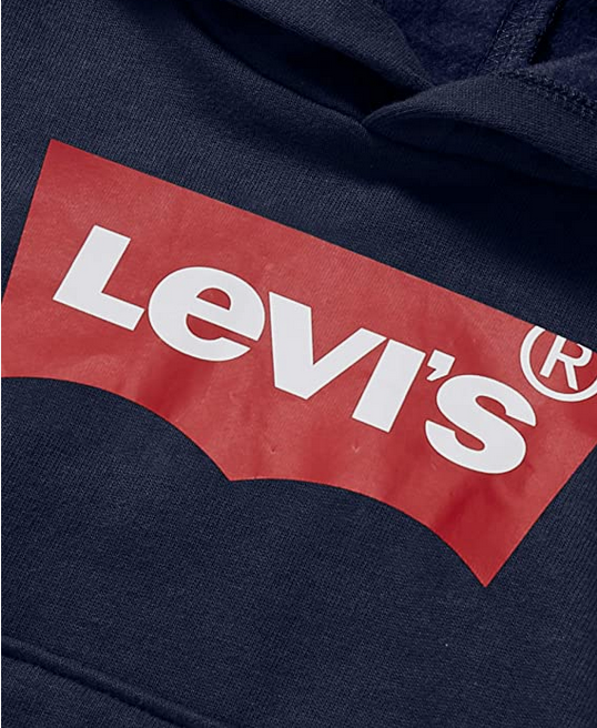 Levis Felpa da ragazzo con cappuccio Batwing Screenprint Hoodie 9E8778-C8D blu