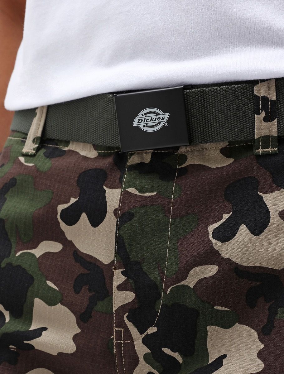 Dickies Orcutt DK0A4X7EOGX olive gray unisex belt