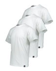 Dickies 3 Men's Short Sleeve T-Shirts DK621091WHX1 white