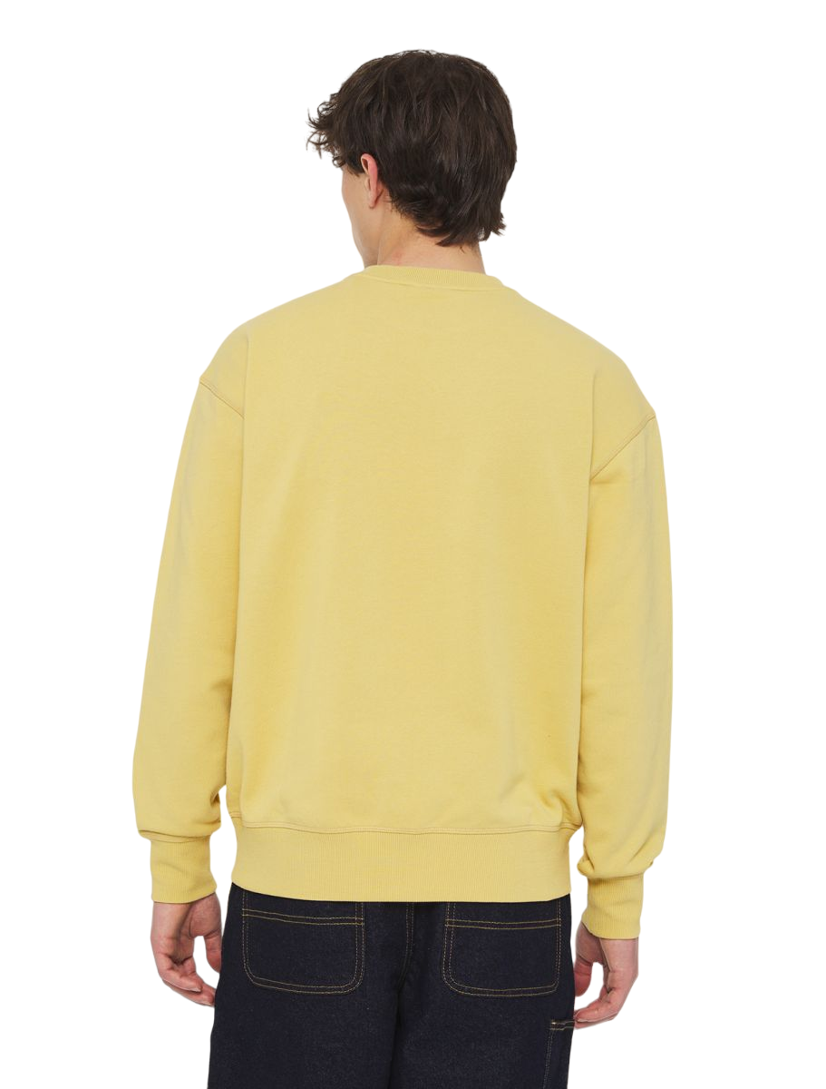 Dickies Millersburg DK0A4YLZH131 men&#39;s crewneck sweatshirt yellow