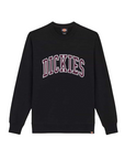 Dickies felpa girocollo da uomo Aitkin DK0A4XABJ941 nero