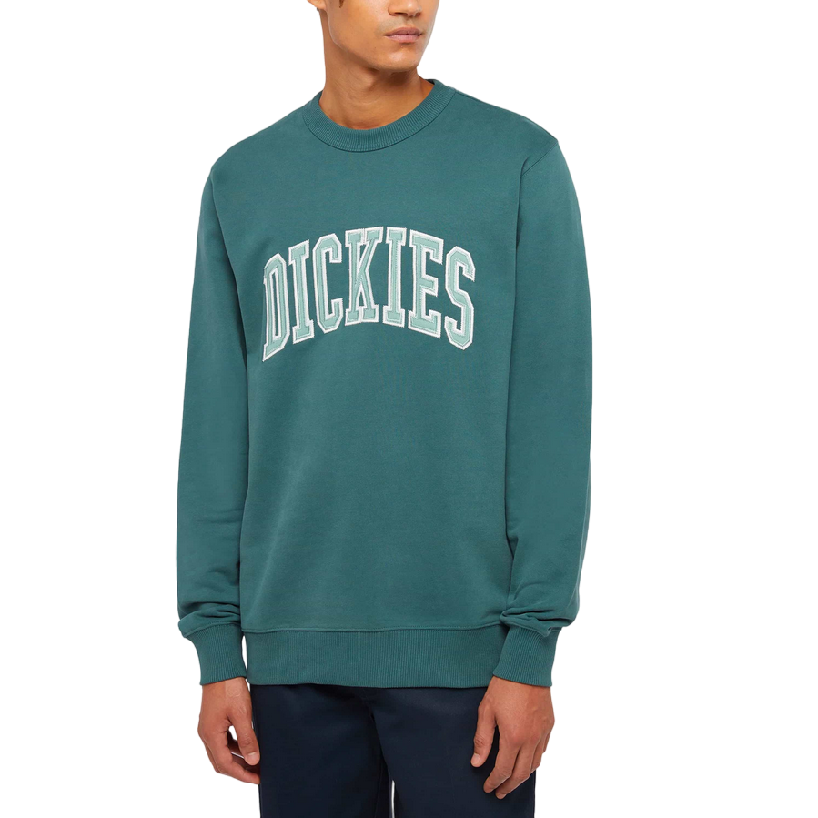 Dickies felpa girocollo da uomo Aitkin DK0A4XABJ951 verde salvia