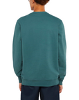 Dickies felpa girocollo da uomo Aitkin DK0A4XABJ951 verde salvia