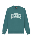 Dickies felpa girocollo da uomo Aitkin DK0A4XABJ951 verde salvia