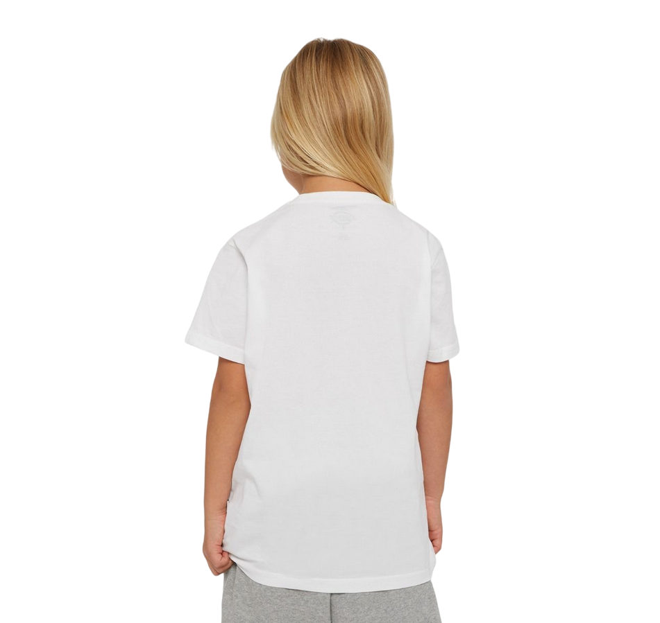 Dickies boys short sleeve t-shirt Mapleton DK0KSR640WH1 white