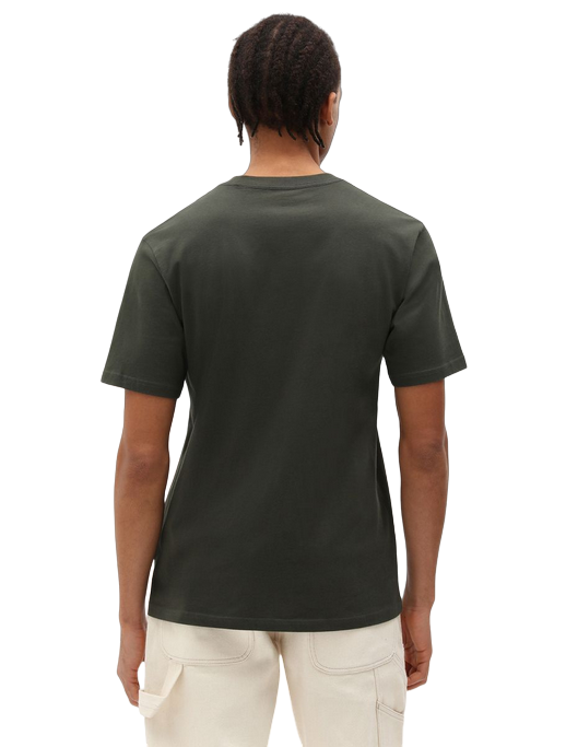 Dickies men&#39;s short sleeve t-shirt Mapleton DK0A4XDB olive green