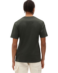 Dickies men's short sleeve t-shirt Mapleton DK0A4XDB olive green