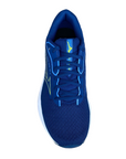 Mizuno men's running shoe Wave Equate 8 J1GC244802 blue green