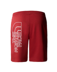 The North Face men's sports shorts Graphic Light NF0A3S4FPOJ rust