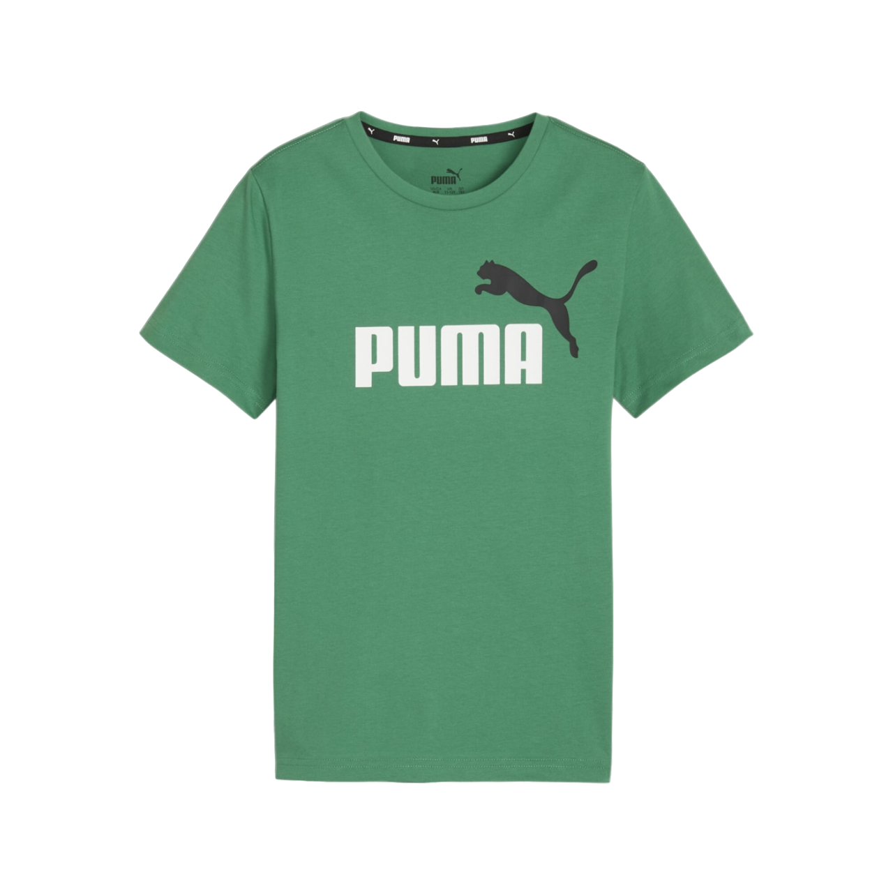 Puma ESS 2 short sleeve t-shirt with large logo print 586985-76 green