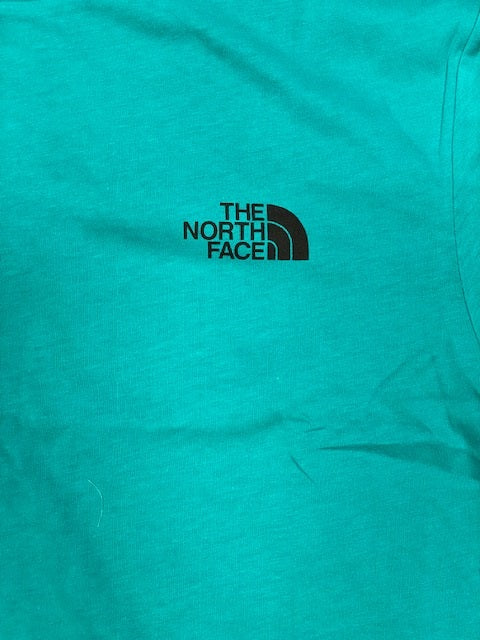 The North Face maglietta manica corta da uomo Simple Dome NF0A2TX52KQ verde porcellana