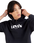 Levi's Hooded sweatshirt 384790039 black