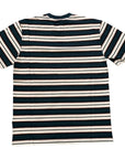 Dickies men's short sleeve t-shirt Lynnwood SS DK0A4XPCAF01 white and blue stripes