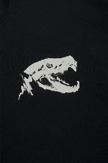 Globe t-shirt da uomo manica corta Dion Agius Hollow GB02110003-BLK nero