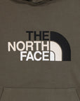 The North Face Men's Light Drew Peak Hoodie NF00A0TE21L1 new taupe green