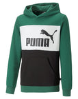 Puma Boys' Sweatshirt Colorblock Hoodie Tr B 849082 37 vine